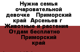 Нужна семья очаровательной девочке - Приморский край, Арсеньев г. Животные и растения » Отдам бесплатно   . Приморский край